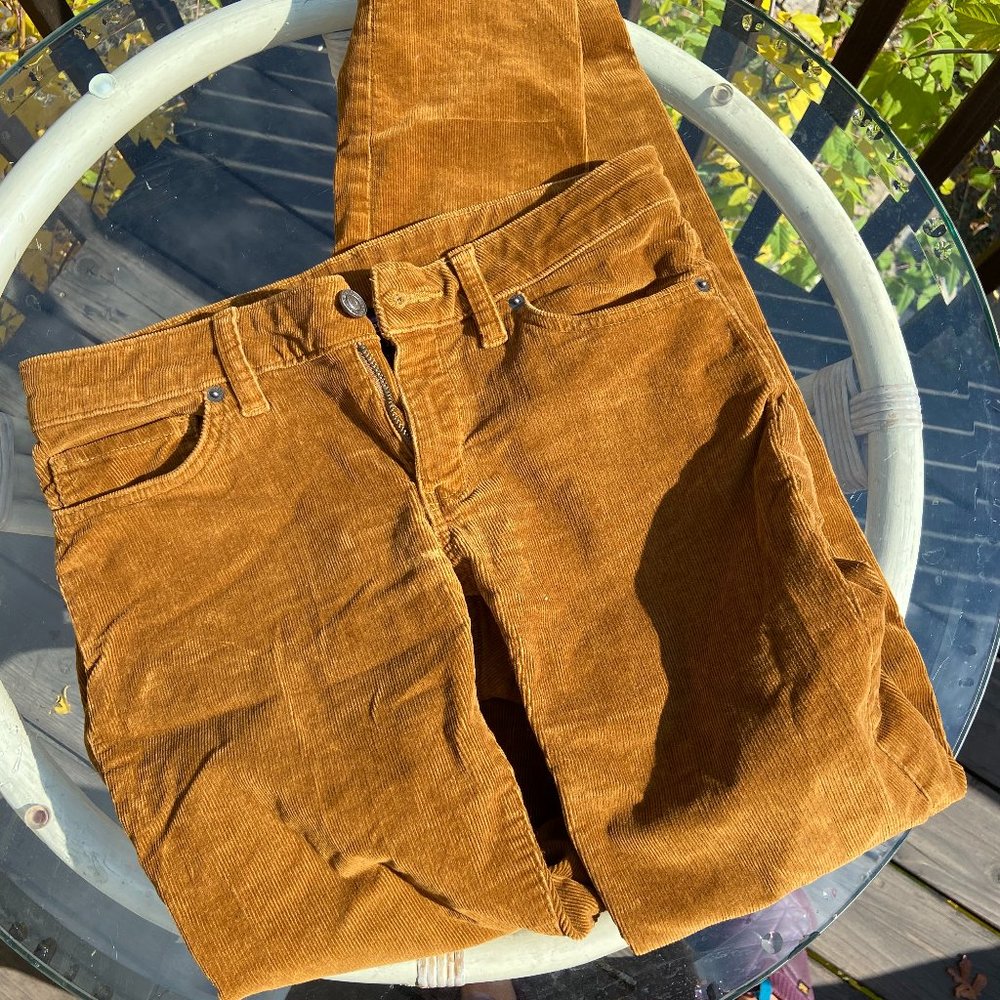 Patagonia Corduroy Pants
